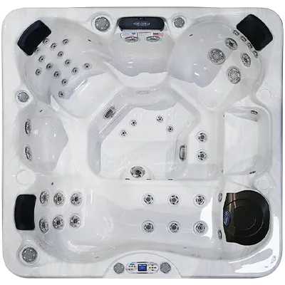 Avalon EC-849L hot tubs for sale in West Desmoines