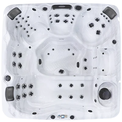 Avalon EC-867L hot tubs for sale in West Desmoines