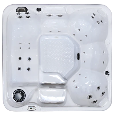 Hawaiian PZ-636L hot tubs for sale in West Desmoines